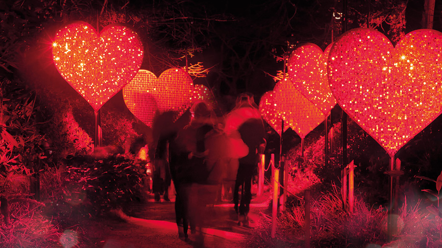 Twinkling mirrored hearts installation