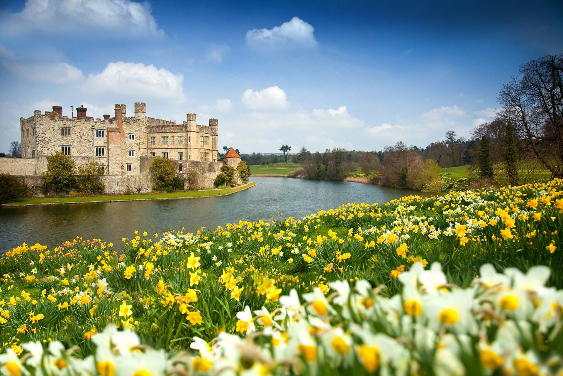Castle surrounded by moat and flowers - darling daffodil walks