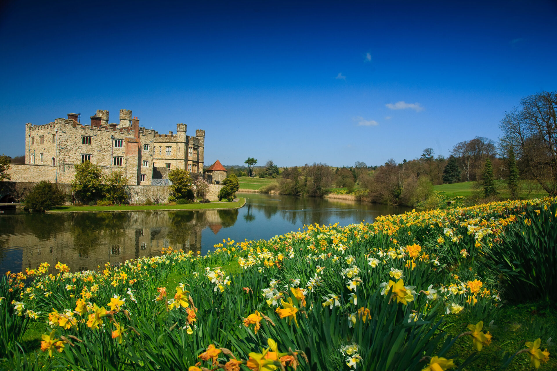 Castle surrounded by moat and daffodils